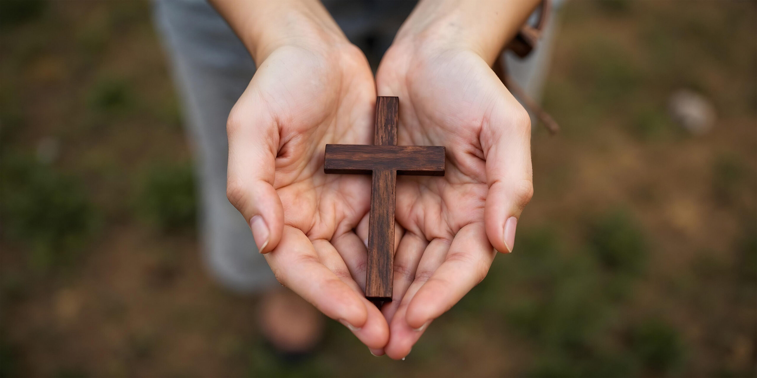 noemim-64f55a52e13171e5cf77083997be1559-cathopic